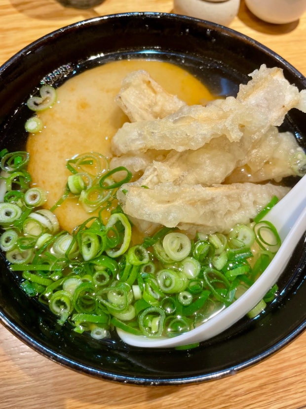 Hakata Udon