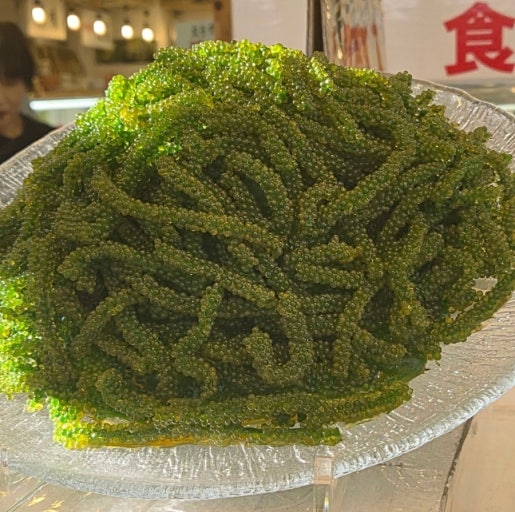 Umibudo (Sea Grapes)