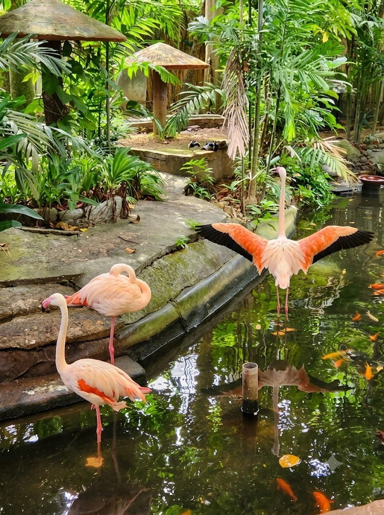 Langkawi Wildlife Park