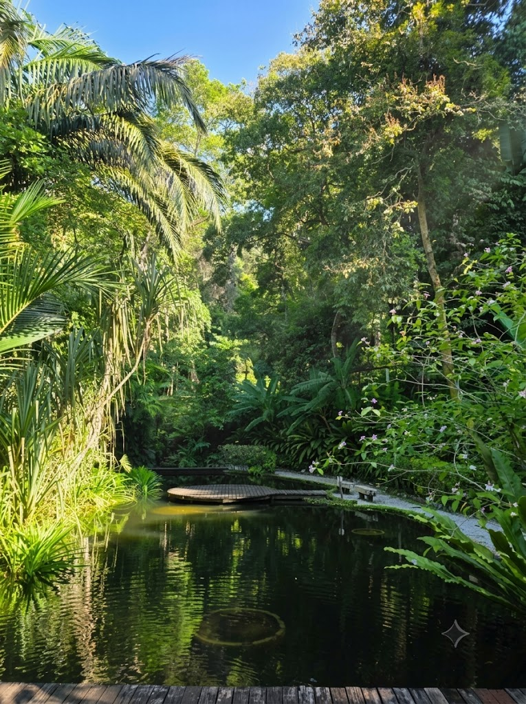 Tropical Spice Garden