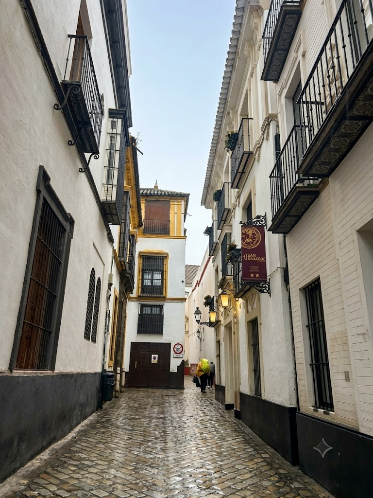 Barrio de Santa Cruz