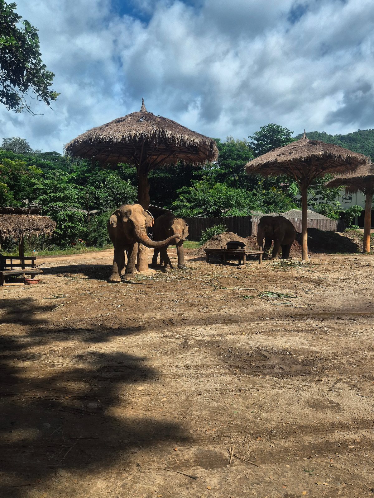Elephant Nature Park